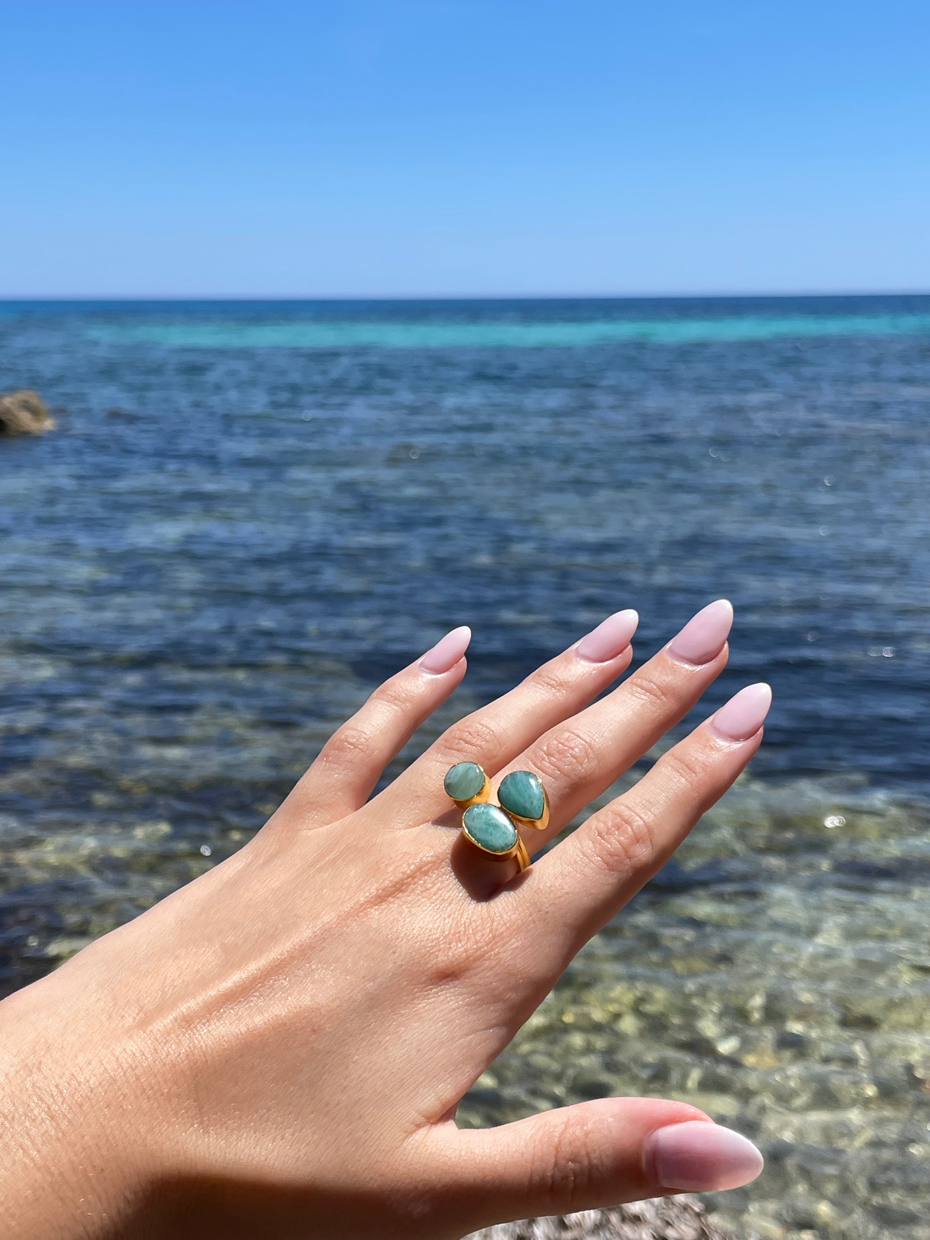 Anillo Nasia