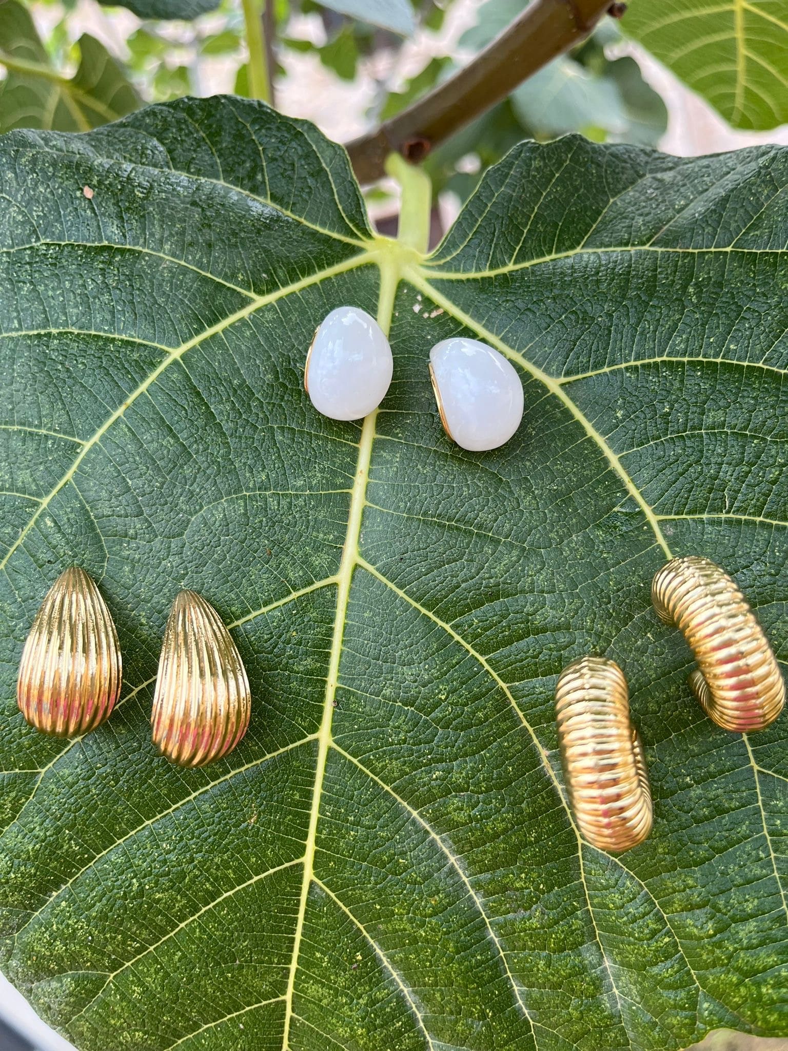 Pendientes Shell